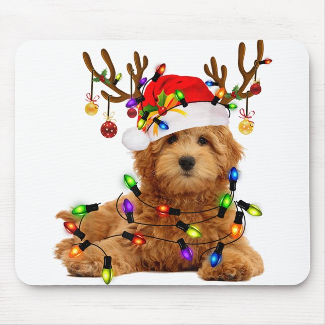 Goldendoodle christmas rener christmas ljus p musmatta (Framsidan)