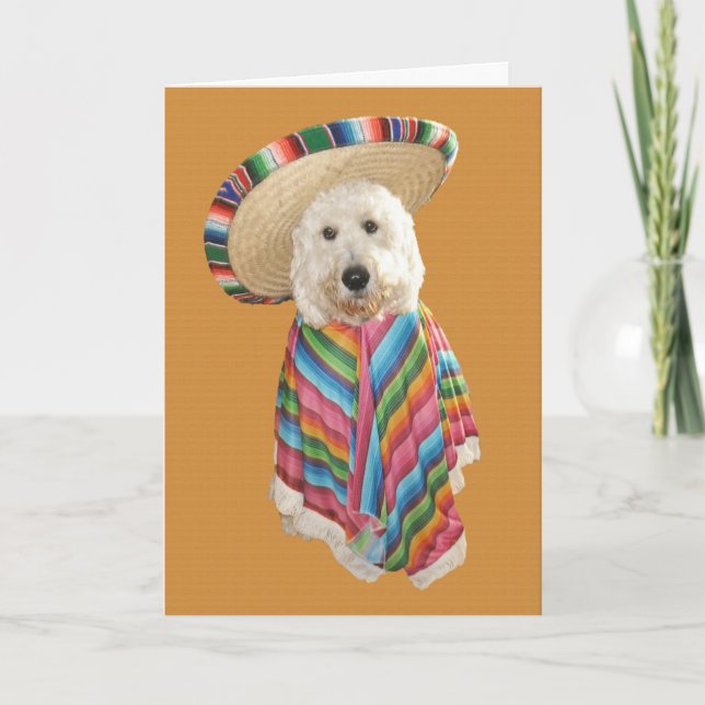 Goldendoodle Cinco de Mayo kort (Framsida)