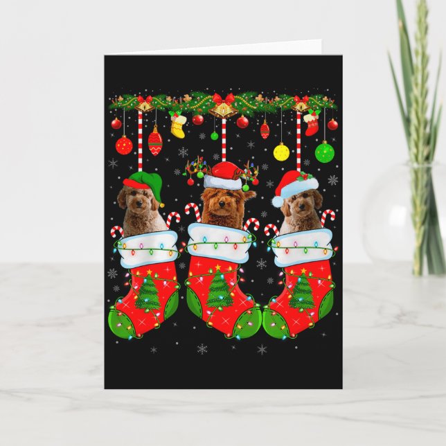 Goldendoodle Dog In Christmas Socks Funny Pet Dog  Kort (Framsida)