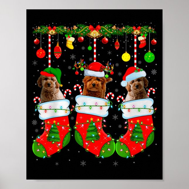 Goldendoodle Dog In Christmas Socks Funny Pet Dog  Poster (Framsidan)
