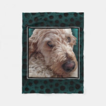 Goldendoodle