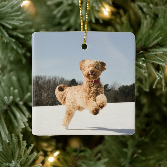 Goldendoodle genom Fält Julgransprydnad Keramik (Träd)