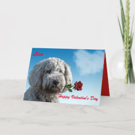 GOLDENDOODLE  GLAD VALENTINSDAGEN HELGKORT