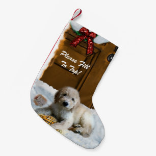 Goldendoodle god jul liten julstrumpa