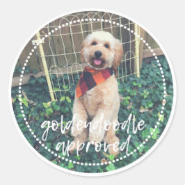Goldendoodle Godkänd Hund Sticker Runt Klistermärke