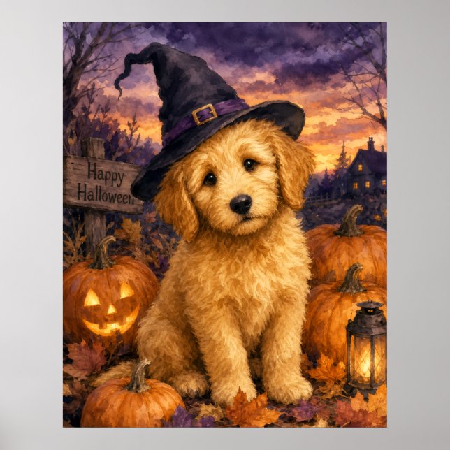 Goldendoodle Häxhatt Pumpa Poster (Framsidan)