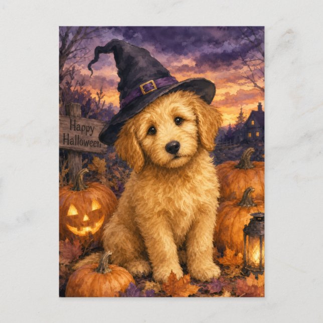 Goldendoodle Häxhatt Pumpa Vykort (Framsida)