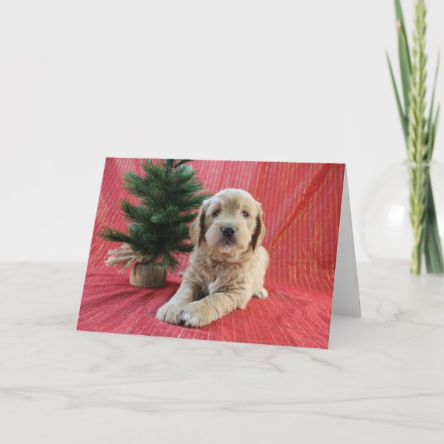 Goldendoodle-Helgdag kort (Framsida)