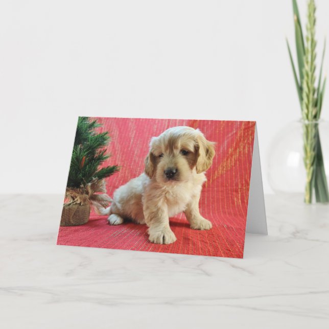 Goldendoodle helgdagkort helgkort (Framsida)
