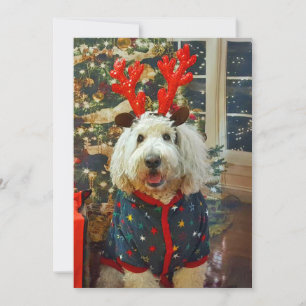 Goldendoodle hem för helgdagarna julkort