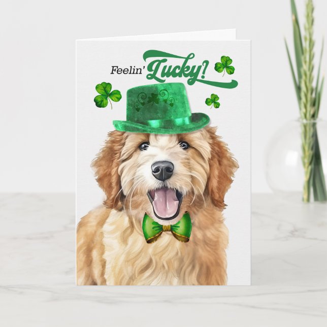 Goldendoodle Hund Feelin' Lucky St patrick's day Helgkort (Framsida)