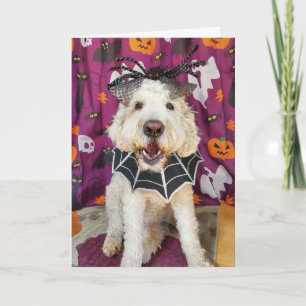 Goldendoodle hund Halloween-kort Kort