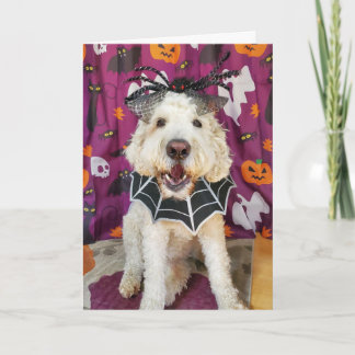 Goldendoodle hund Halloween-kort Kort