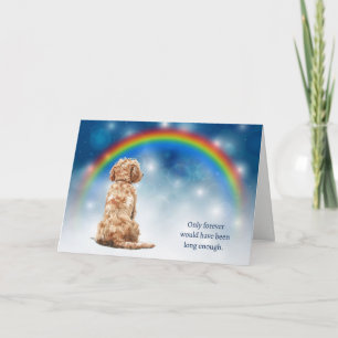 Goldendoodle Hund Nattljus Sympati Helgkort