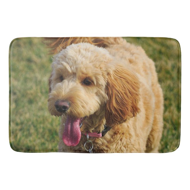Goldendoodle Hund Photo Badrumsmatta (Framsidan)