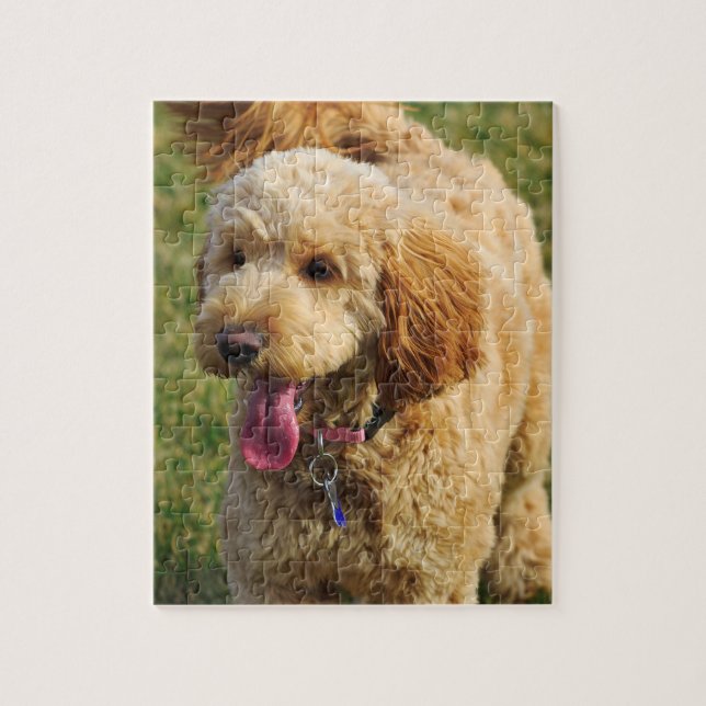 Goldendoodle Hund Pussel (Vertikal)