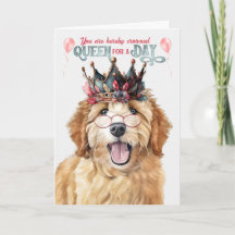Goldendoodle Hund Queen for a Day Funny Birthday