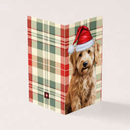 Goldendoodle Hund Red and Grönt Play Helgdag Card Kort