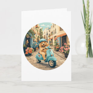 Goldendoodle Hund Riding Scooter European Streets Kort