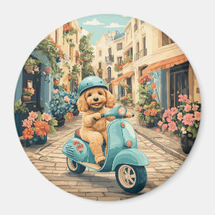Goldendoodle Hund Ridning Scooter Europeiska Gator Magnet