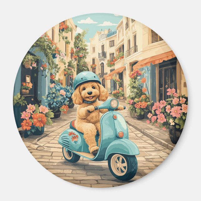 Goldendoodle Hund Ridning Scooter Europeiska Gator Magnet (Framsidan)