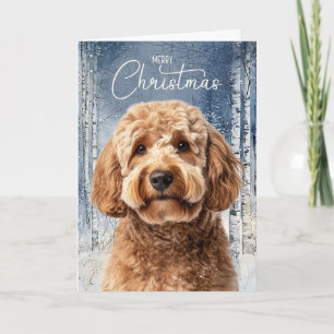 Goldendoodle Hund Snöig Vinter Skog Jul Helgkort