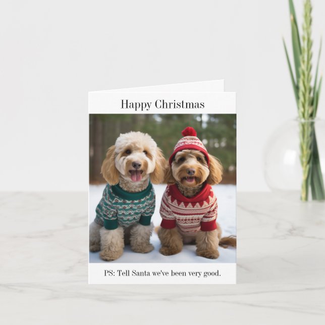Goldendoodle Hundar i julsötare Kort (Framsida)