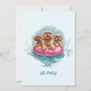Goldendoodle Hundar, sommarananas Bassäng Flyter Inbjudningar
