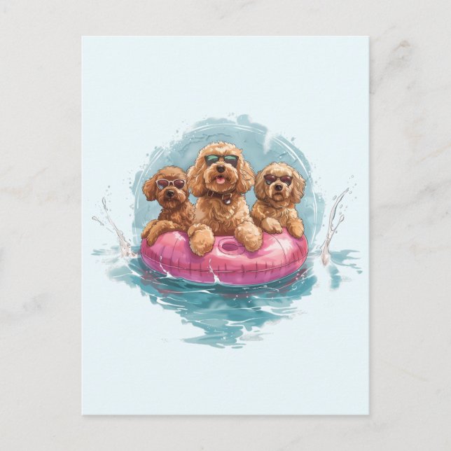 Goldendoodle Hundar, sommarananas Bassäng Flyter Vykort (Framsida)
