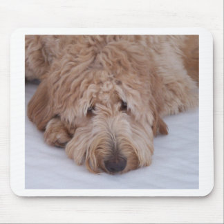 GoldenDoodle hundgåva Mousepads/Mousemats Musmatta