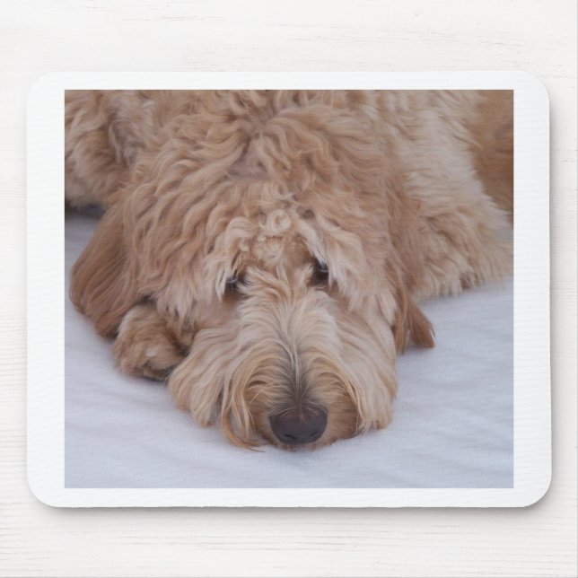 GoldenDoodle hundgåva Mousepads/Mousemats Musmatta (Framsidan)
