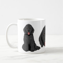 Goldendoodle hundmix Kaffe kopp