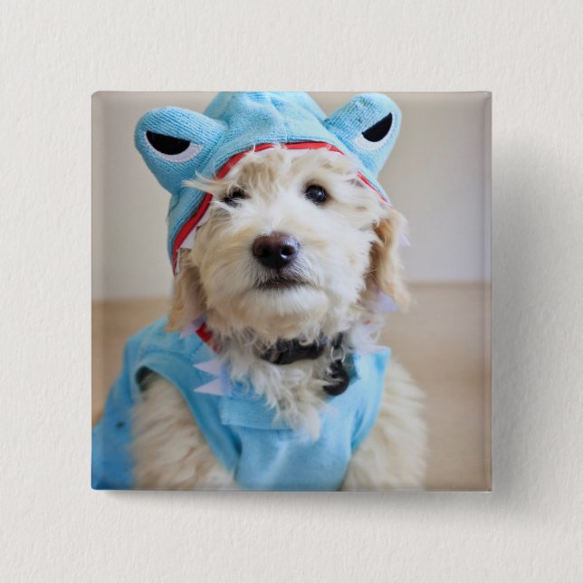 Goldendoodle i hajdräkt knapp (Framsida)