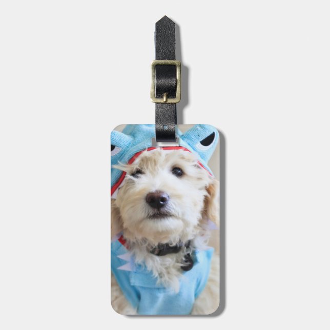 Goldendoodle i hajkostym bagagebricka (Vertikal Framsida)