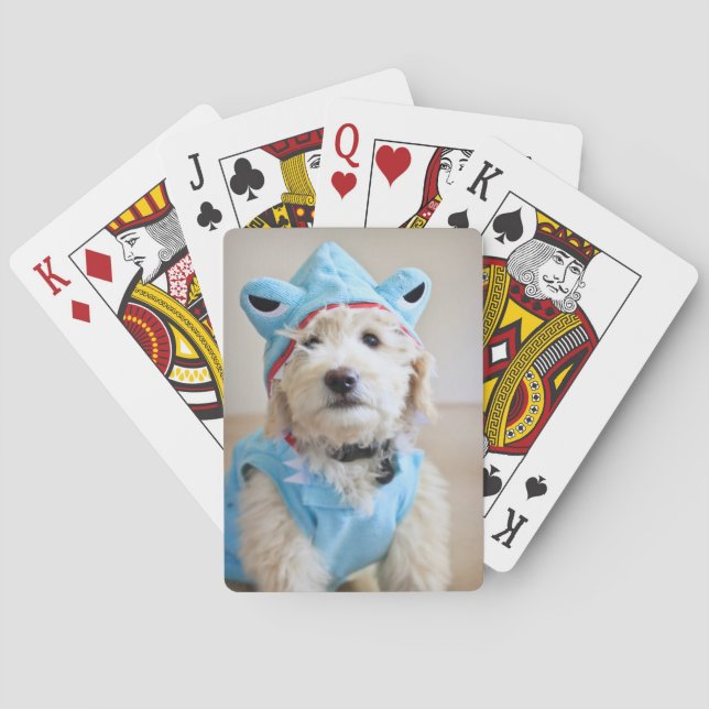 Goldendoodle i hajkostym casinokort (Baksidan)