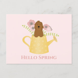 Goldendoodle in Watering Can Vykort