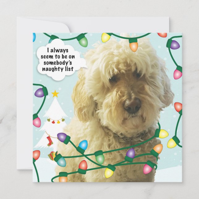 Goldendoodle jul, Doodle kul Kort (Framsida)