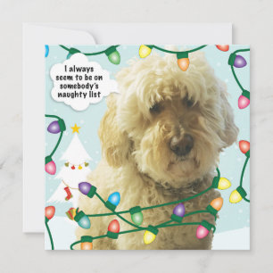 Goldendoodle-jul, Doodle-Roligt Kort