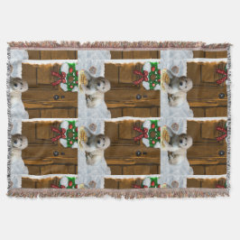 Goldendoodle-jul Filt