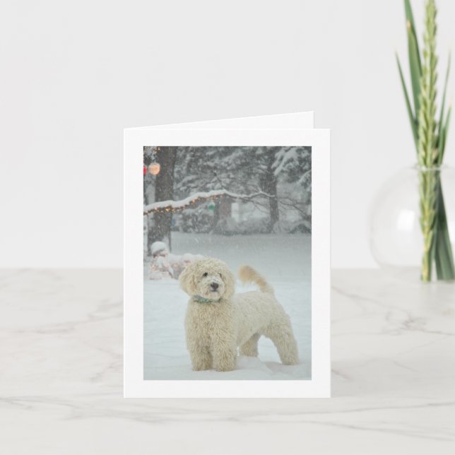 Goldendoodle jul helgkort (Framsida)