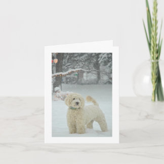 Goldendoodle jul helgkort