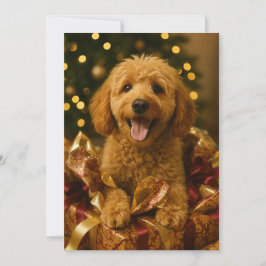 Goldendoodle julkort inbjudningar