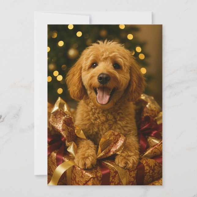 Goldendoodle julkort inbjudningar (Framsida)