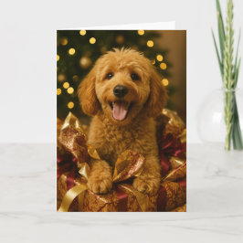 Goldendoodle julkort kort