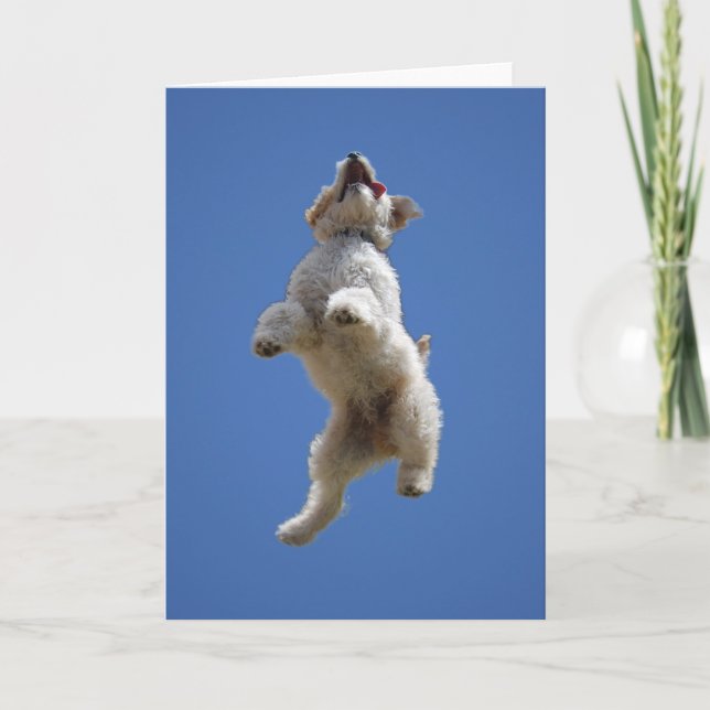 Goldendoodle Jumping Greeting Card Kort (Framsida)