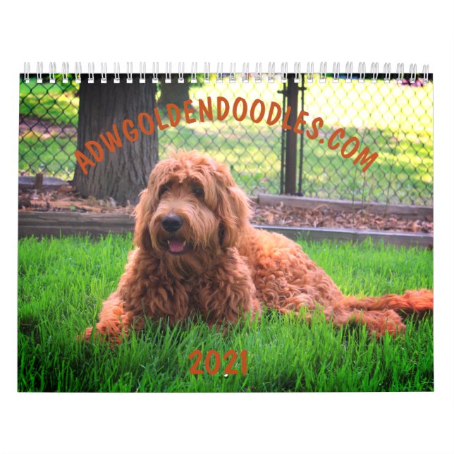 Goldendoodle kalender (Omslag)