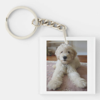 Goldendoodle keychain