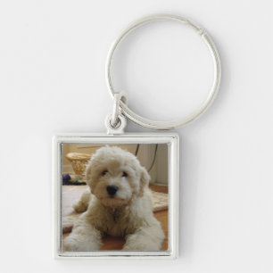 Goldendoodle Keychain Fyrkantig Silverfärgad Nyckelring