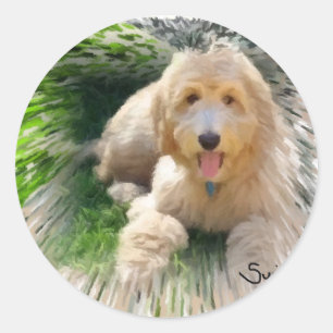 Goldendoodle Labradoodle Runt Klistermärke