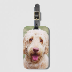 Goldendoodle-leende Bagagebricka